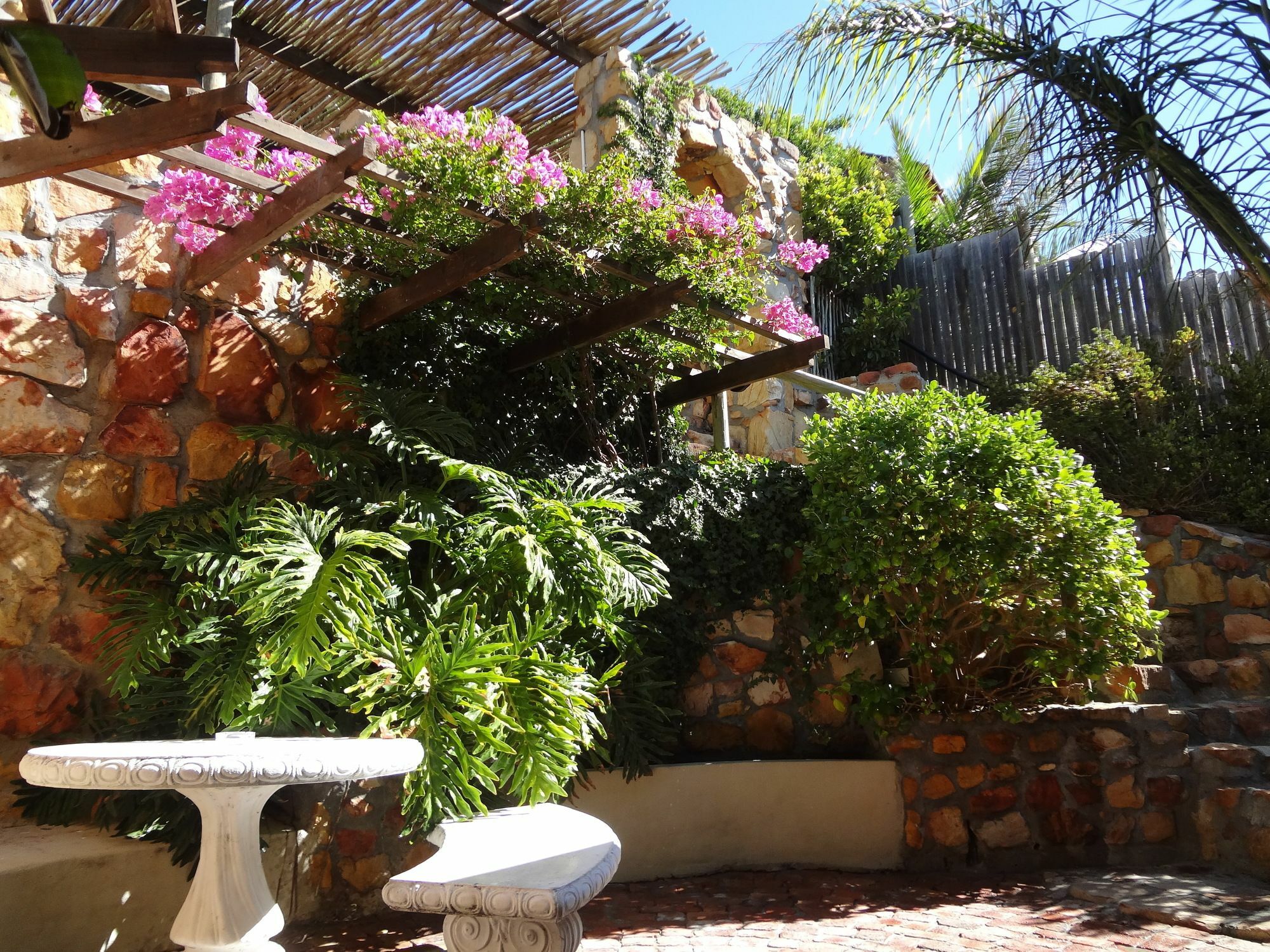 African Violet Guest Suites Noordhoek Exterior foto